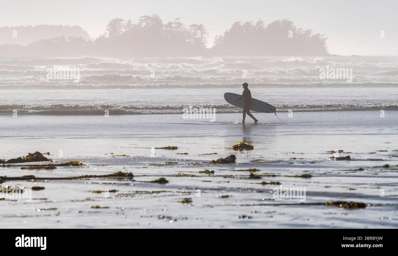 Surfista che cammina verso le onde, Cox Bay Beach, Tofino, Vancouver Island, British Columbia, Canada. Foto Stock