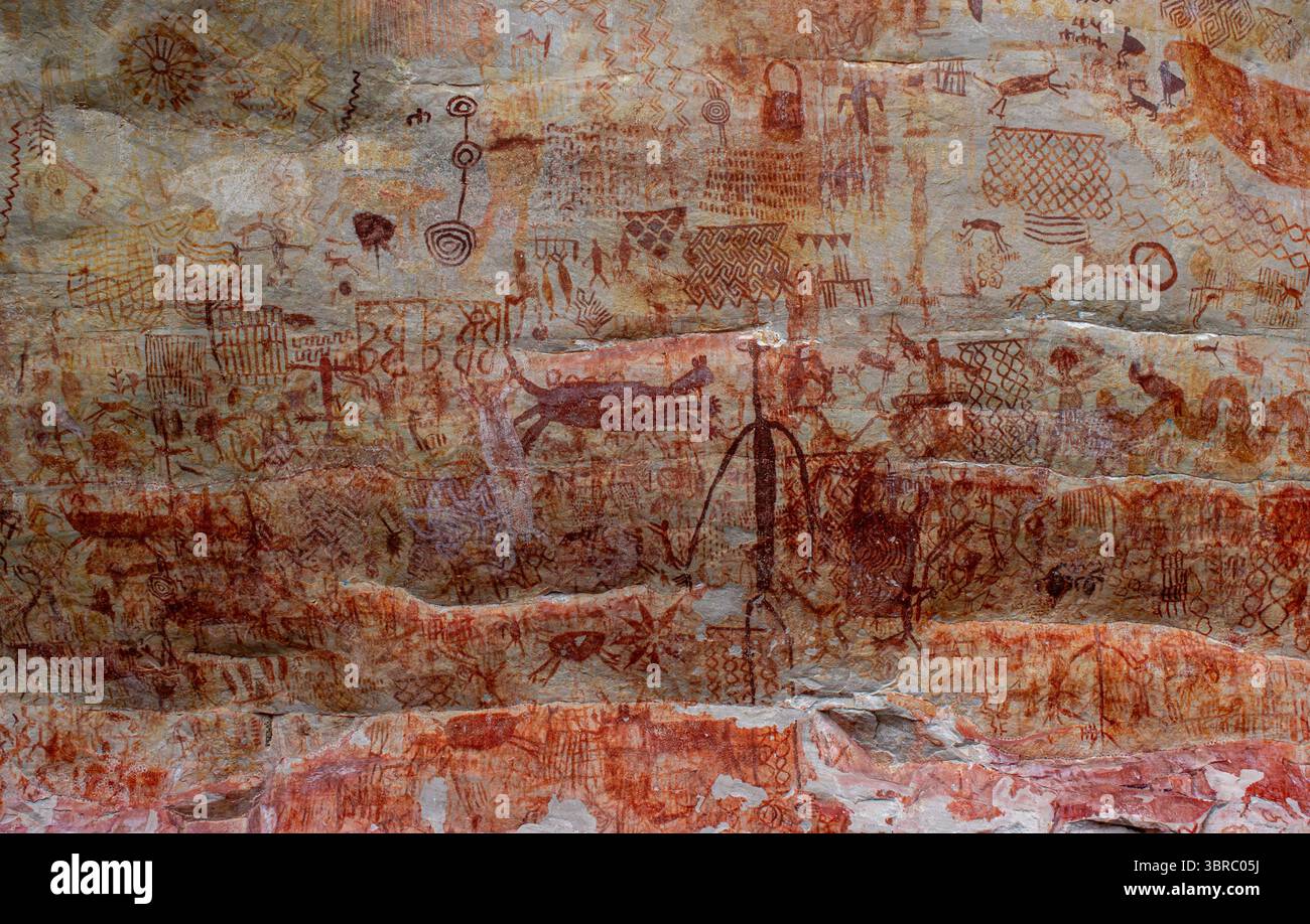 Dipinti rupestri antichi riccamente dettagliati a Guaviare, Colombia, che mostrano la storia culturale e l'espressione artistica. Foto Stock
