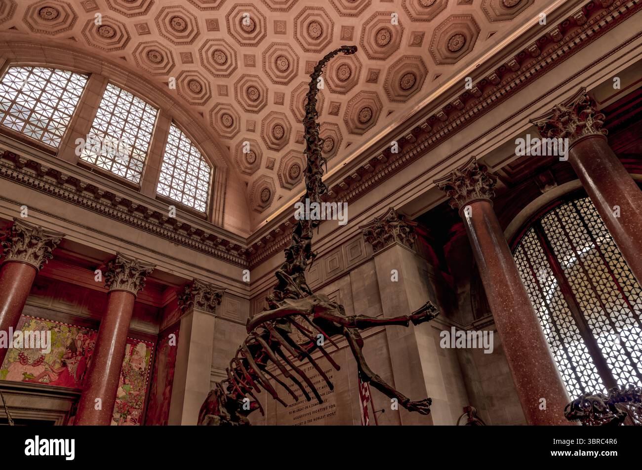 New York, New York - 17 febbraio 2022: Mostre al Museo di storia naturale di New York Foto Stock