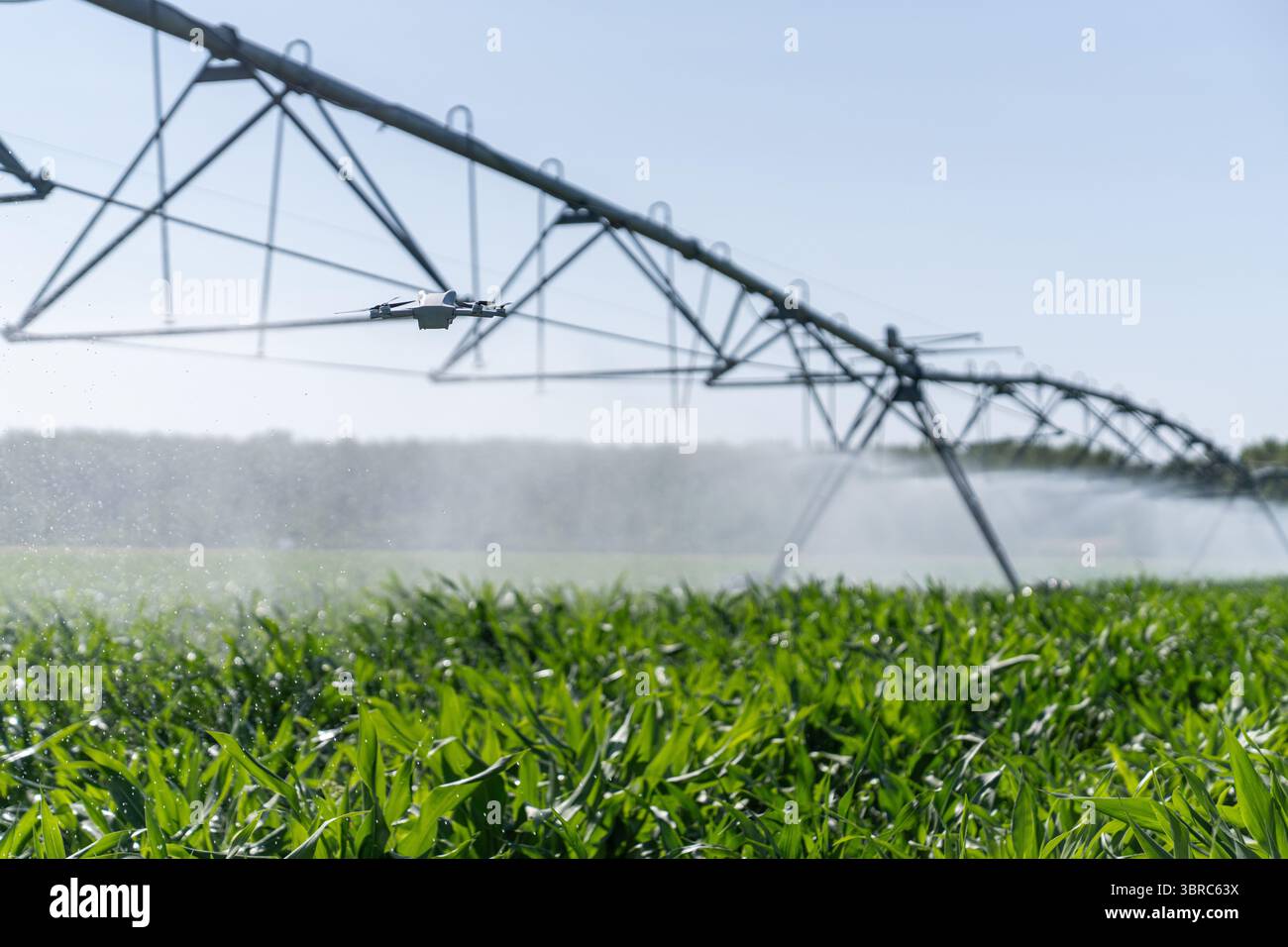 Il drone controlla il sistema di irrigazione a perno su un campo agricolo Foto Stock