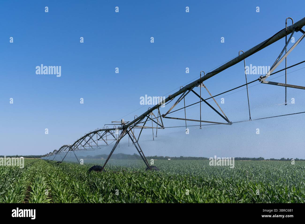 Sistema di irrigazione a perno agricolo su un campo di granturco Foto Stock