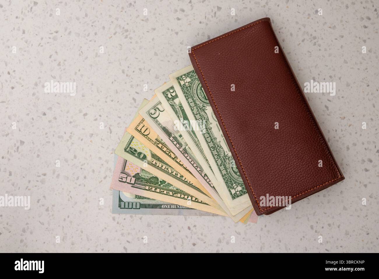 Dollari USA e portafoglio con spazio vuoto per testo Foto Stock