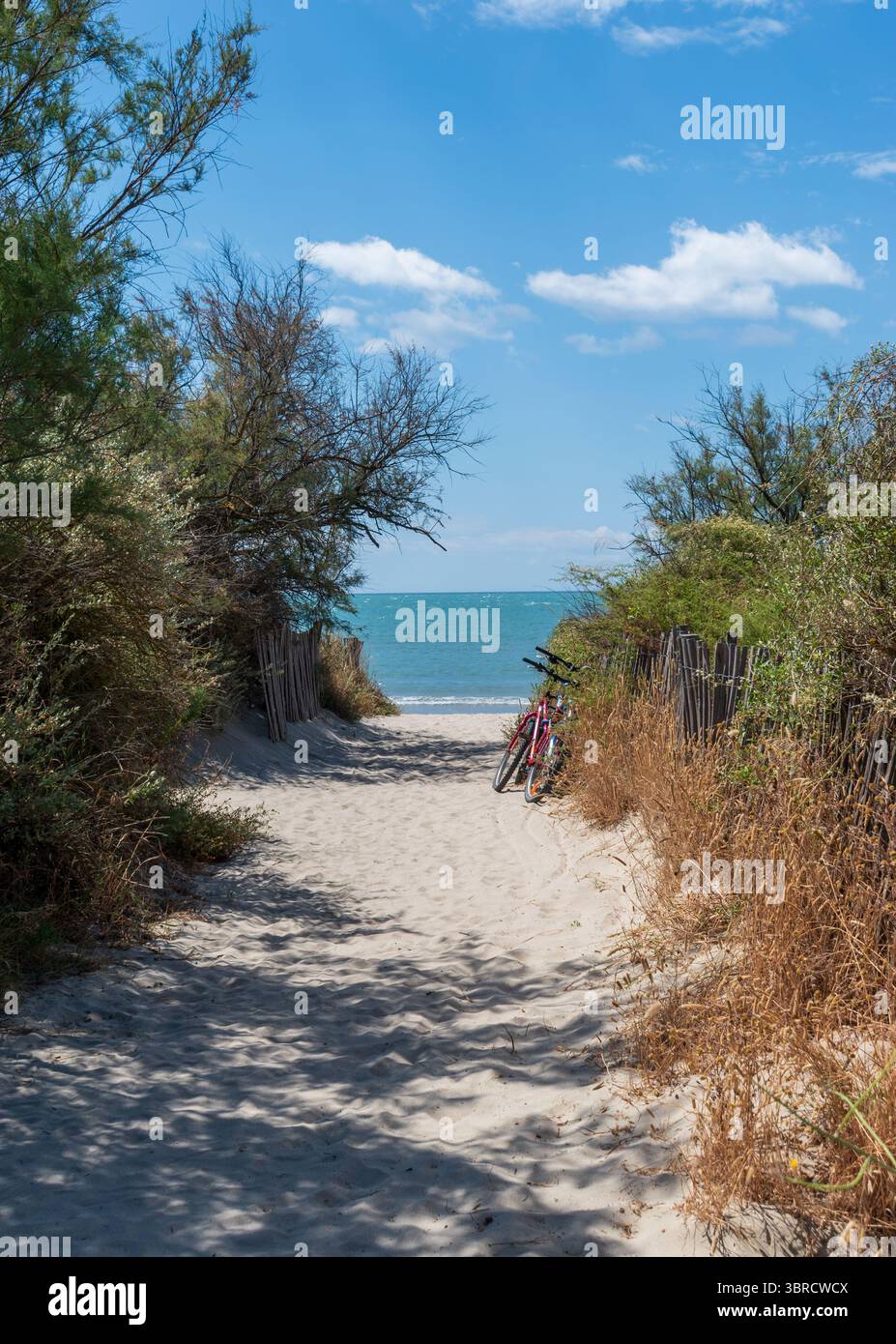 Accesso alla spiaggia, Languedoc, Hérault, Francia Foto Stock