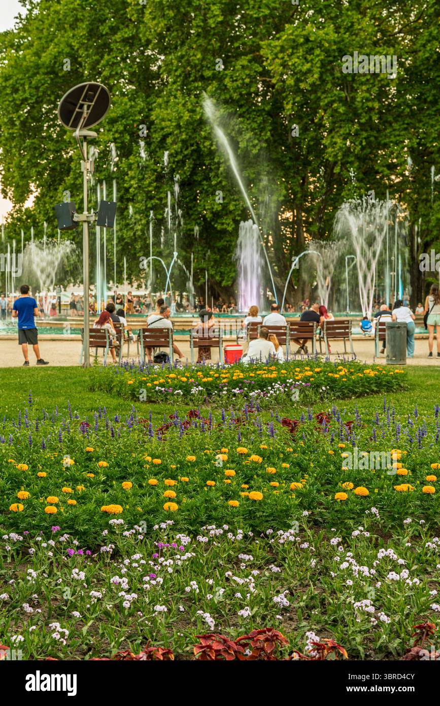 Ungheria, Budapest, Margit sziget. Parti botaniche dell'isola. Fantastici fiori colorati ovunque. Foto Stock