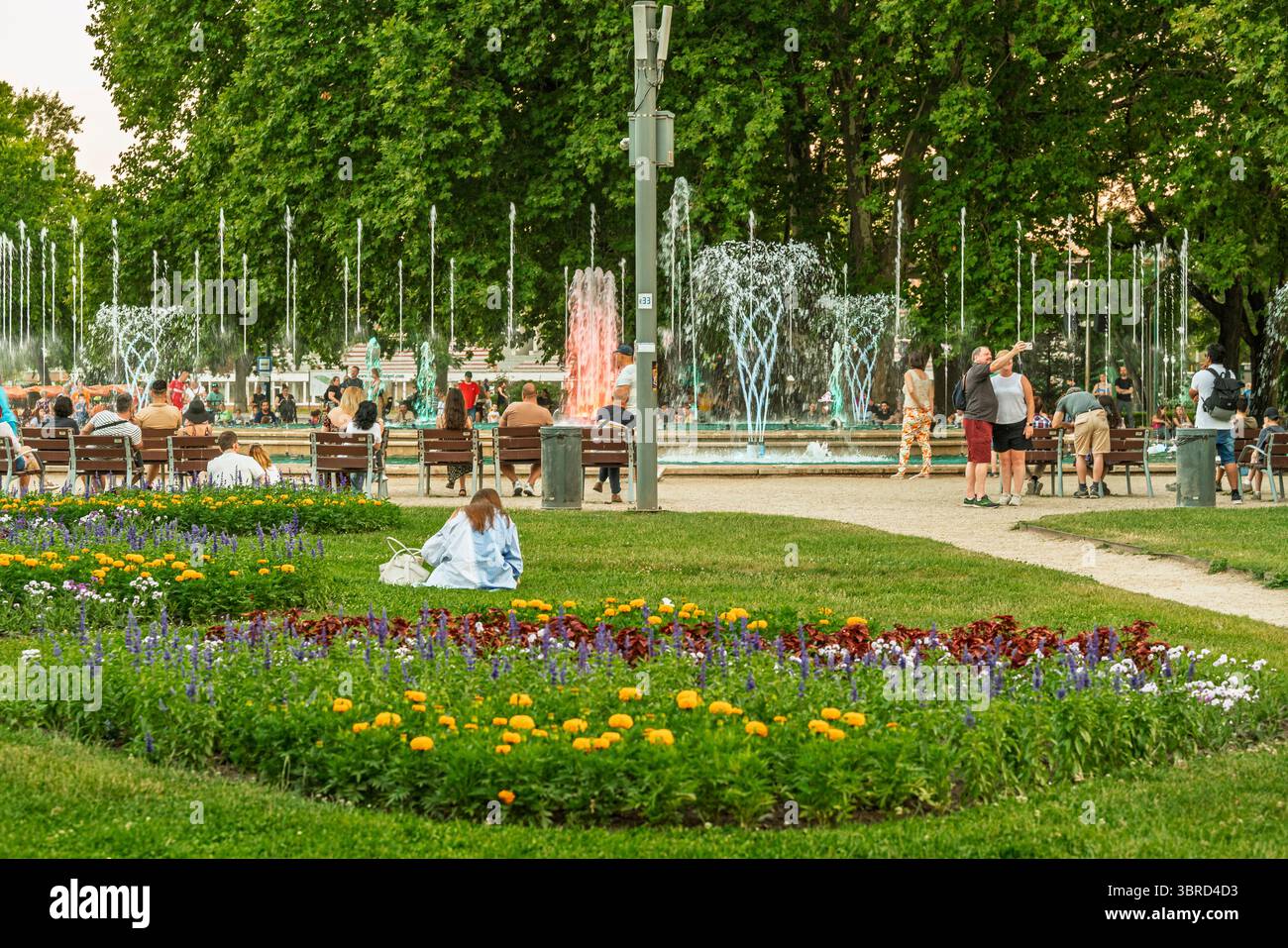 Ungheria, Budapest, Margit sziget. Parti botaniche dell'isola. Fantastici fiori colorati ovunque. Foto Stock