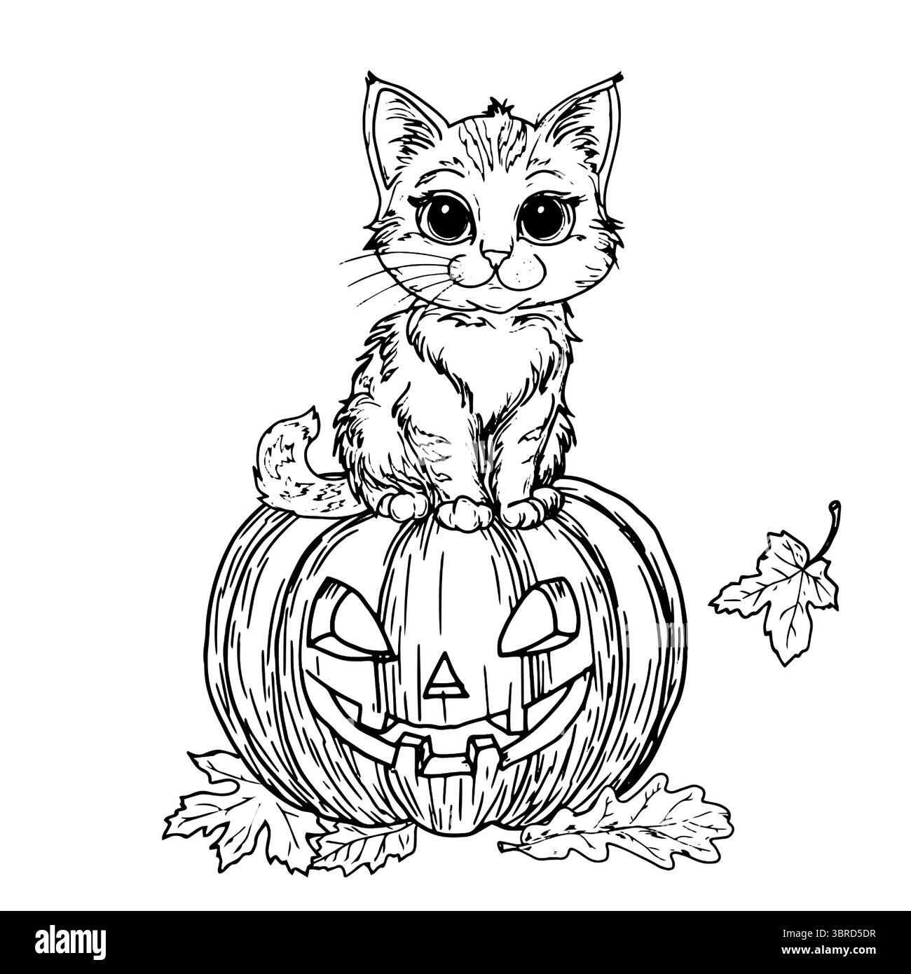 Un gatto siede su una zucca con un volto intagliato, e foglie autunnali, uno schizzo in inchiostro bianco e nero. Illustrazione vettoriale. Decorazioni autunnali per un look mistico Illustrazione Vettoriale