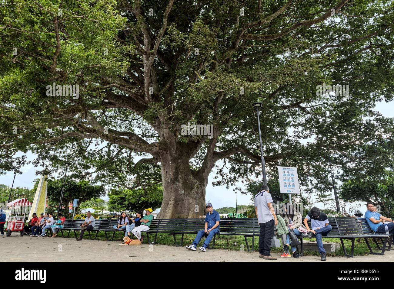 Apaneca, Central (Municipal) Park, Ahuachapan Department, El Salvador Foto Stock