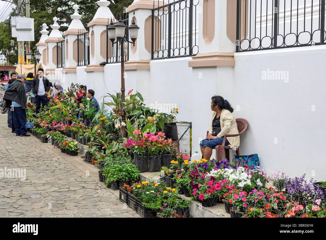 Mercato dei fiori, Apaneca, dipartimento di Ahuachapan, El Salvador Foto Stock