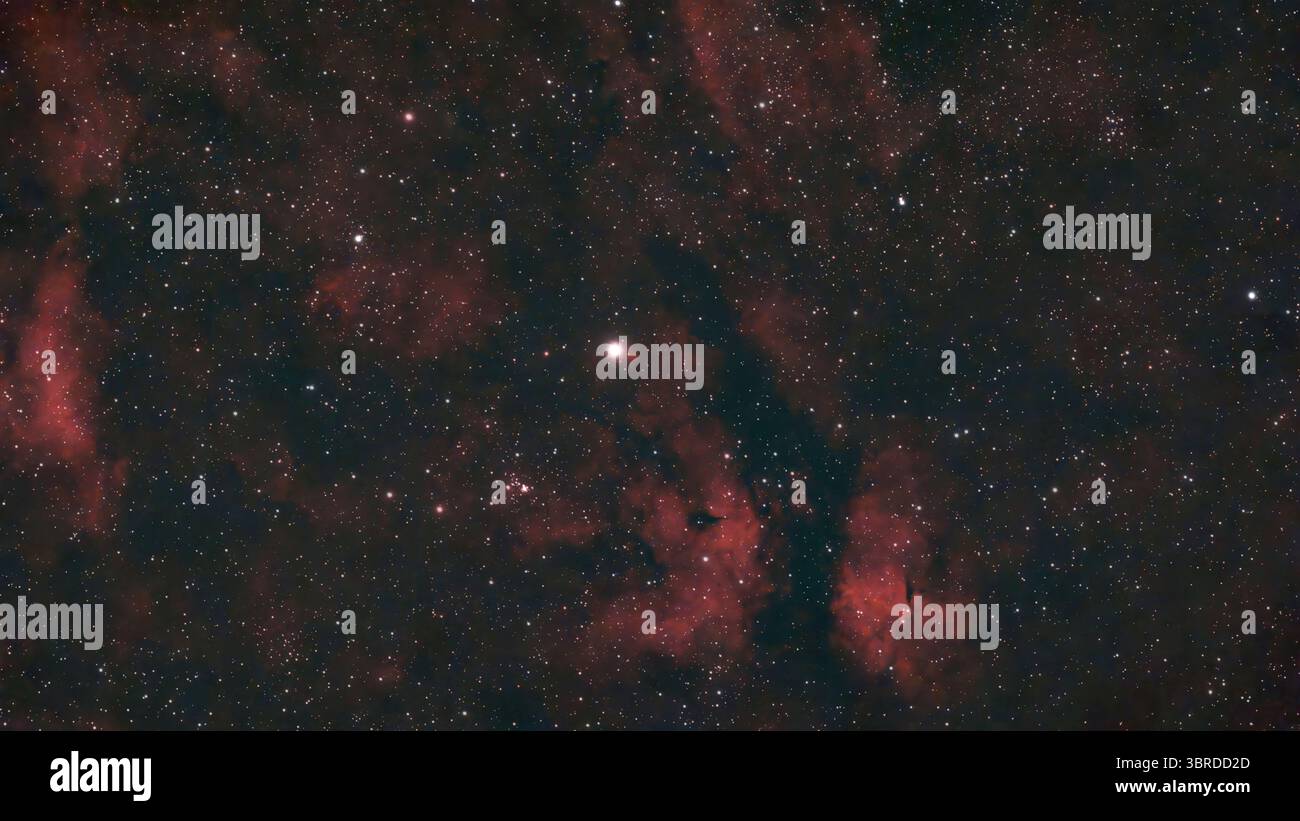 12 luglio 2025, Londra, Regno Unito. Cielo notturno limpido sopra Londra. La stella Sadr (gamma Cygni) di Cygnus fotografata con un piccolo telescopio robotizzato intelligente in questa esposizione di tre ore viene catturata circondata da nuvole di nebulosa di emissione rosso brillante. La stella è a 1.826 anni luce dalla Terra. Crediti: Malcolm Park/Alamy Live News Foto Stock