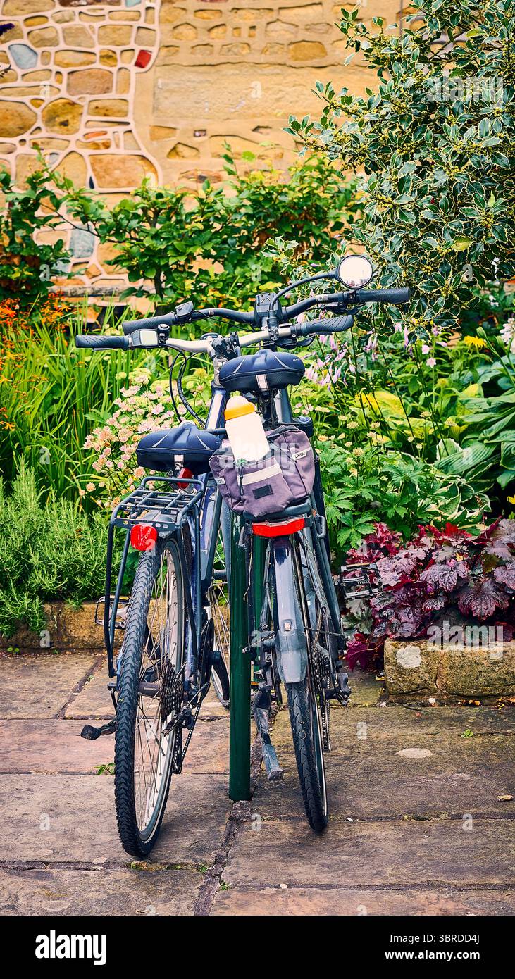 Due biciclette parcheggiate nel giardino, Regno Unito Foto Stock