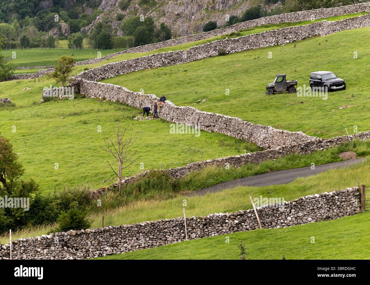 Riparazione di un muro di pietra a secco a Langcliffe, vicino a Settle, nello Yorkshire Dales National Park, Regno Unito Foto Stock