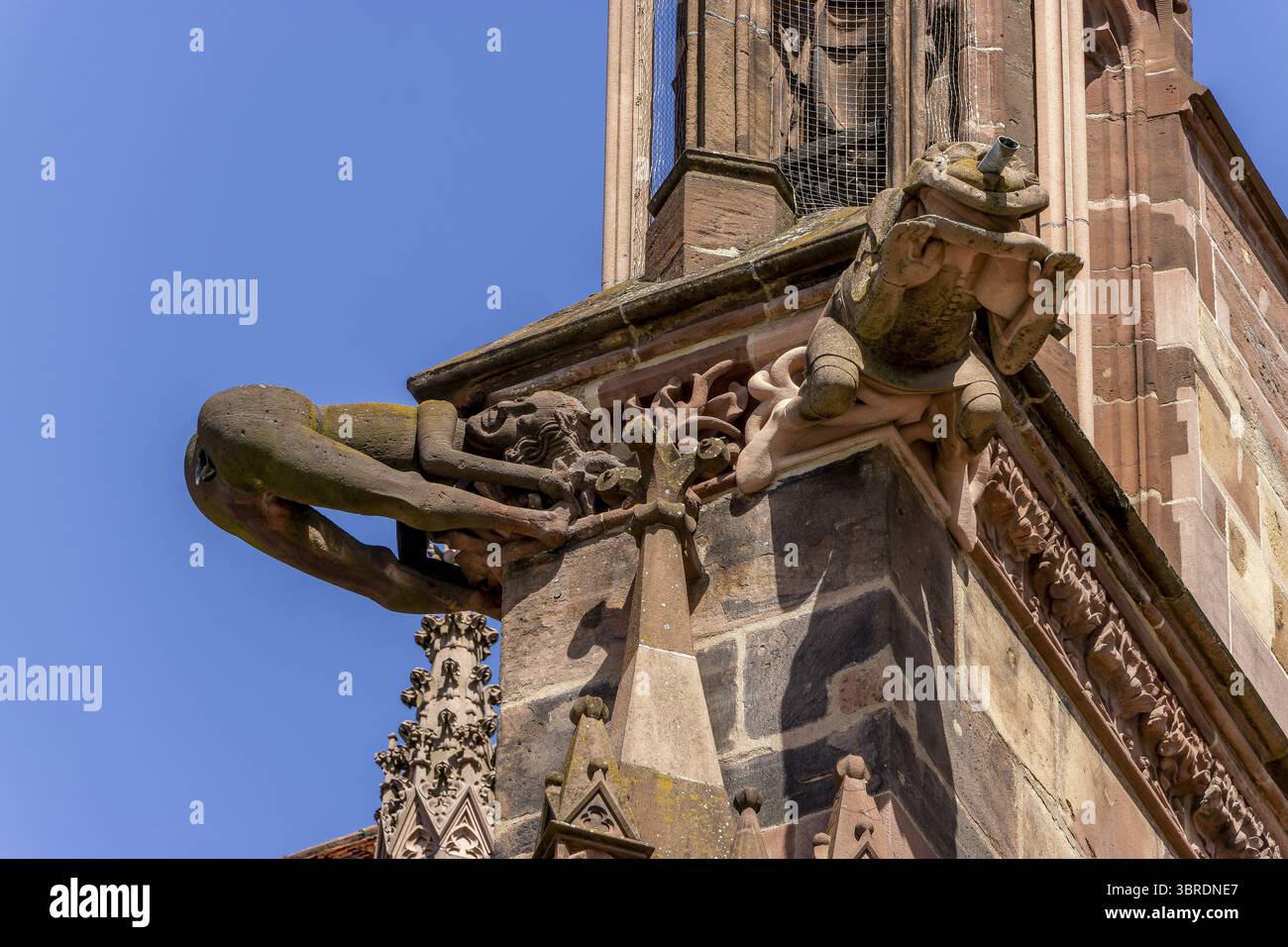 La famosa figura tra i gargoyle della magnifica cattedrale gotica della cattedrale di Friburgo nella città vecchia, Friburgo, Friburgo in Breisgau, a sud Foto Stock