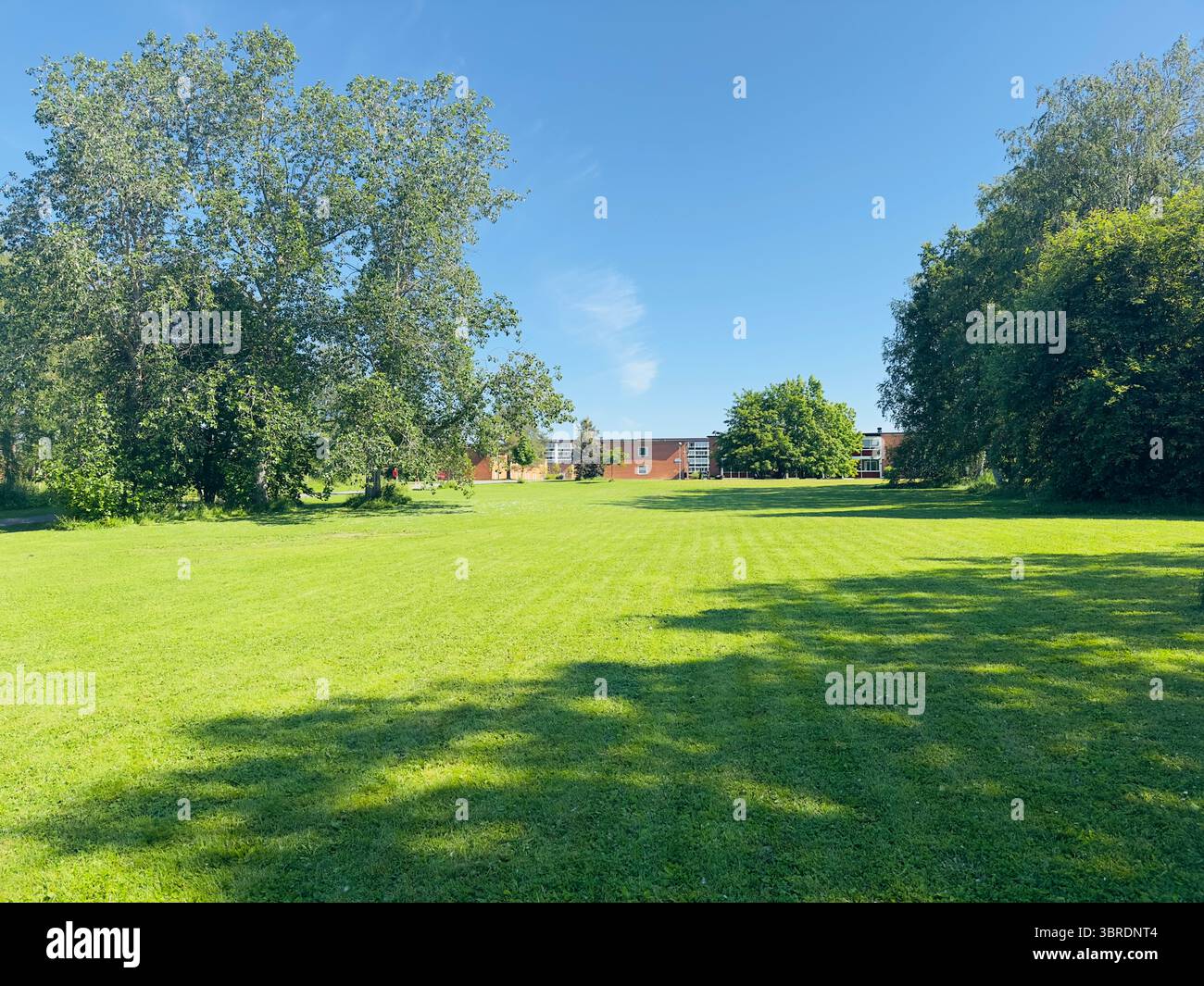 Un bellissimo parco con lussureggianti prati verdi, alberi e un cielo azzurro. Foto Stock