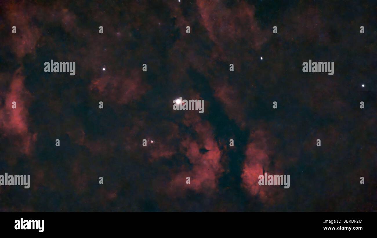 Sadr12 luglio 2025, Londra, Regno Unito. Cielo notturno limpido sopra Londra. La stella Sadr (gamma Cygni - centro) di Cygnus fotografata con un piccolo telescopio robotizzato intelligente in questa esposizione di tre ore viene catturata circondata da nuvole di nebulosa di emissione rosso brillante. Altre stelle nell'immagine sono state rimosse dal software. Crediti: Malcolm Park/Alamy Foto Stock