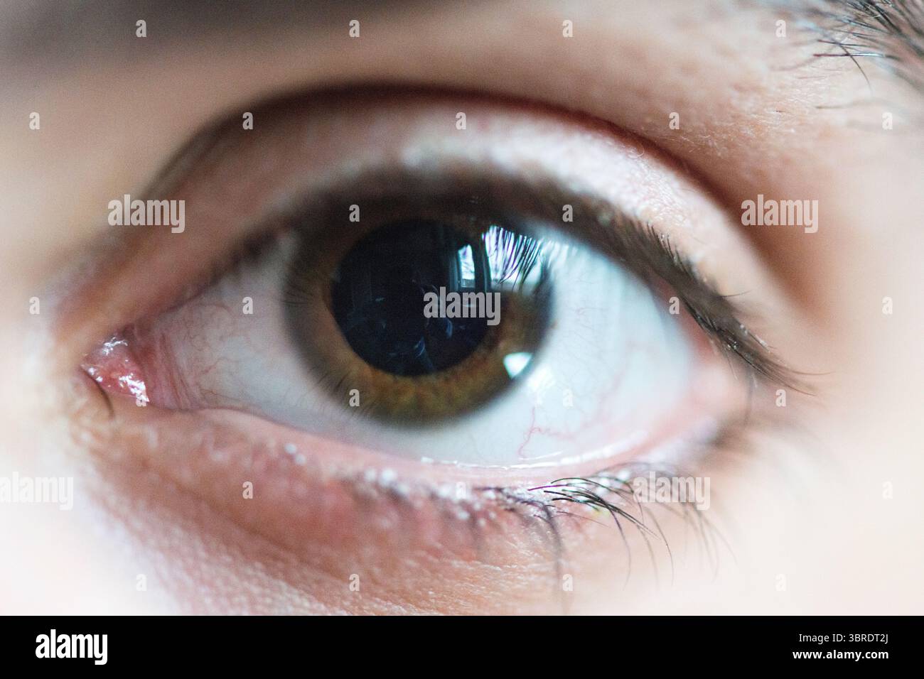 Occhio sinistro di un uomo mediorientale. Tilburg, Paesi Bassi. Foto Stock