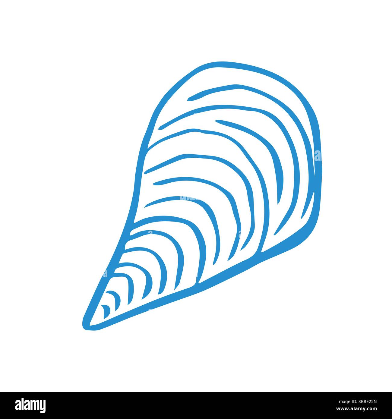 Stravagante ostrica marina disegnata a mano su sfondo bianco Illustrazione Vettoriale