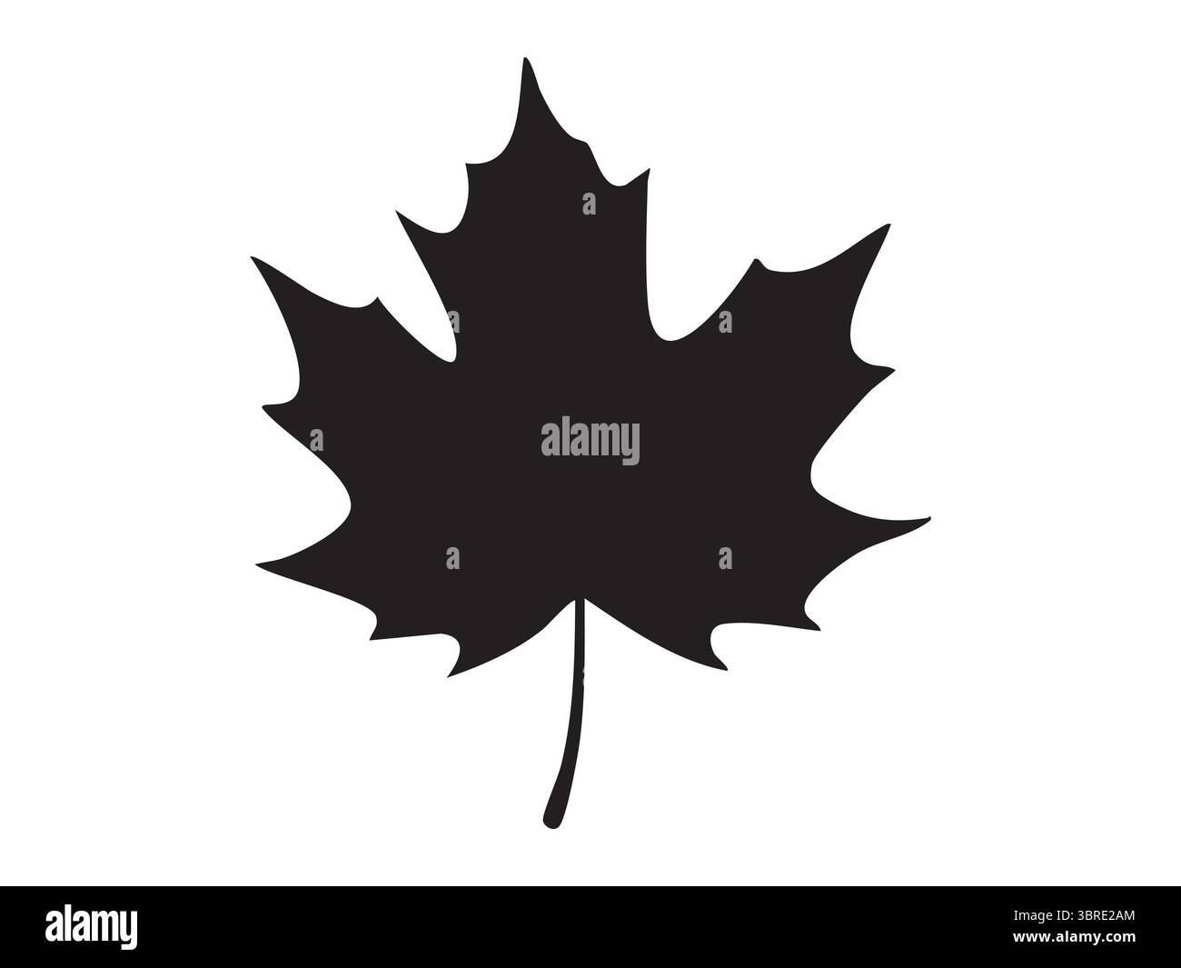 Silhouette nera di foglia d'acero isolata su sfondo bianco, illustrazione grafica. concetto di fogliame, motivo autunnale, elemento botanico, icona della natura, l Illustrazione Vettoriale