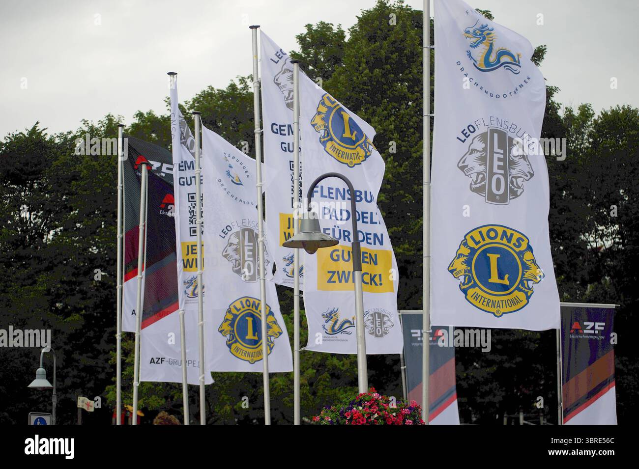 Flensburg, Schleswig-Holstein Flensburger Drachenbootrennen. Mehrere Fahnen mit Logos und Schriftzügen, Darunter Lions International und Leo Flensburg, Stehen im Wind. Im Hintergrund sind Bäume und ein grauer Himmel zu sehen. Die Fahnen weisen auf eine Veranstaltung am Flensburger Hafen Hin. Aufnahme vom 12.07.2025, Flensburg, Hafen West, Hafenspitze *** Flensburg, Schleswig Holstein Flensburg Dragon boat Race diverse bandiere con loghi e caratteri, tra cui Lions International e Leo Flensburg, si stagliano tra gli alberi del vento e un cielo grigio può essere visto sullo sfondo le bandiere indicano un evento Foto Stock