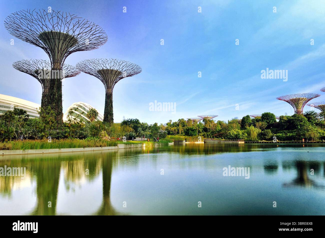 Supertrees ai Giardini di Singapore presso la Baia Foto Stock
