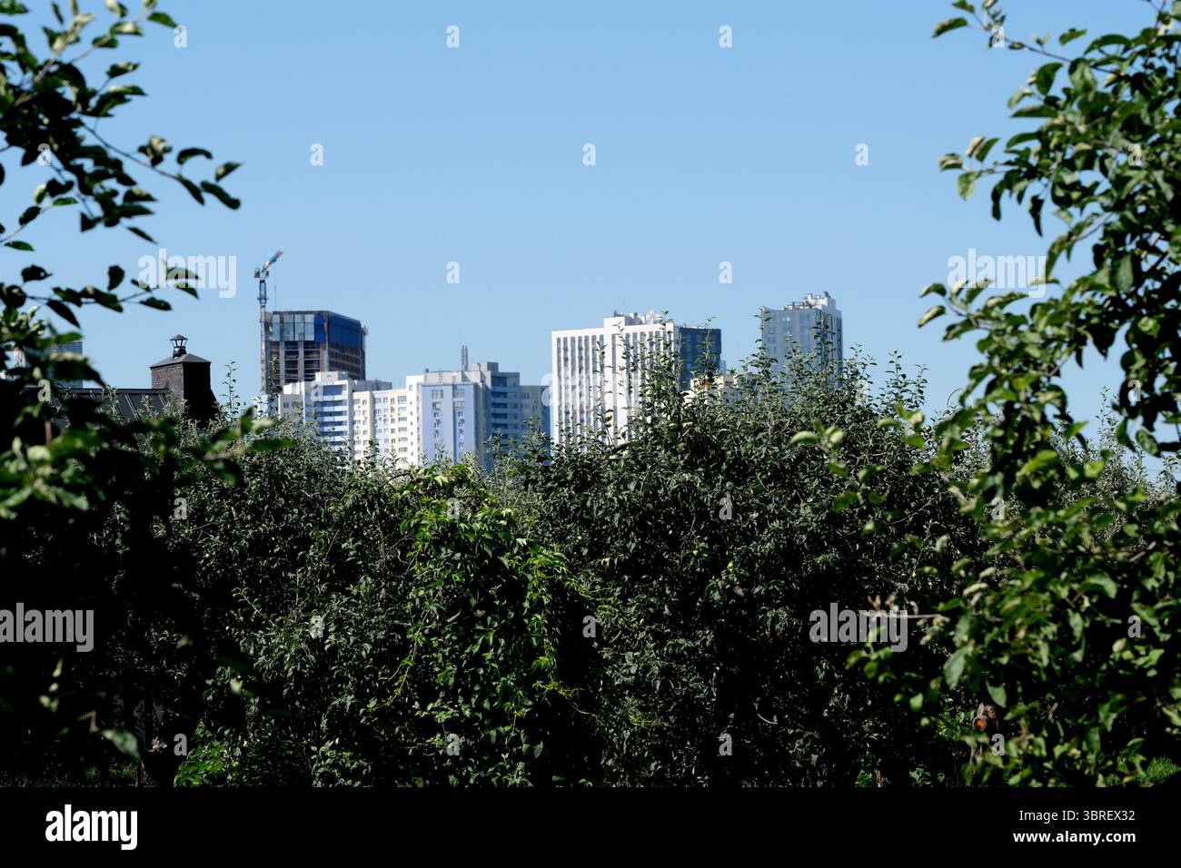 Le torri urbane si stagliano su vivaci alberi di mele sotto un cielo azzurro. Foto Stock