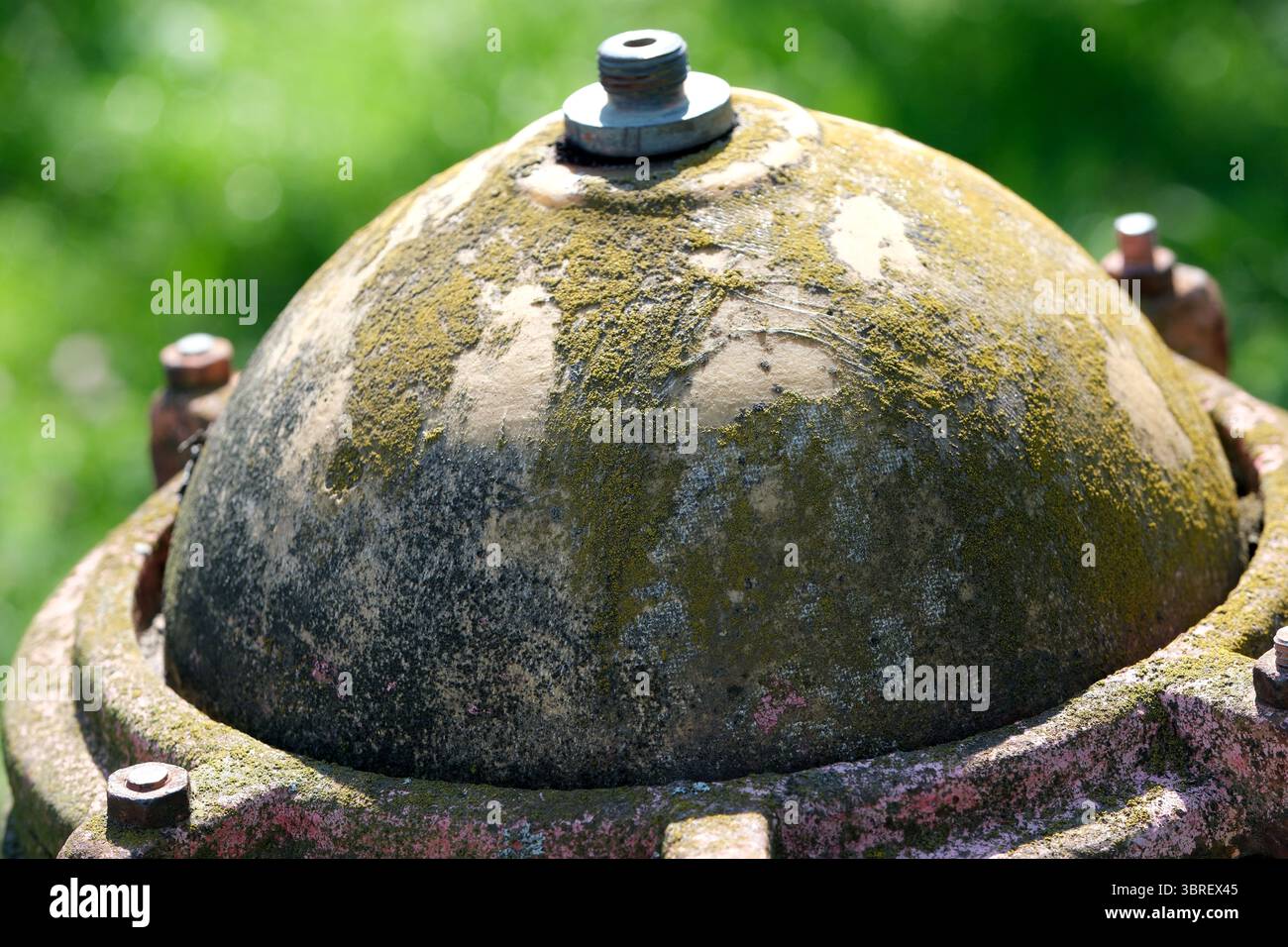 Un cappuccio rotondo per idranti è decorato con muschio verde contro l'erba lussureggiante. Foto Stock
