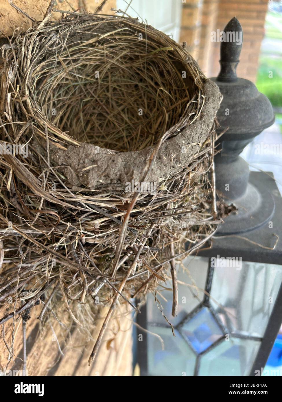 Un abbandono (?) Nido americano Robin costruito sulla sommità di un portico, contro un muro di mattoni gialli di una casa suburbana nel Michigan. Foto Stock