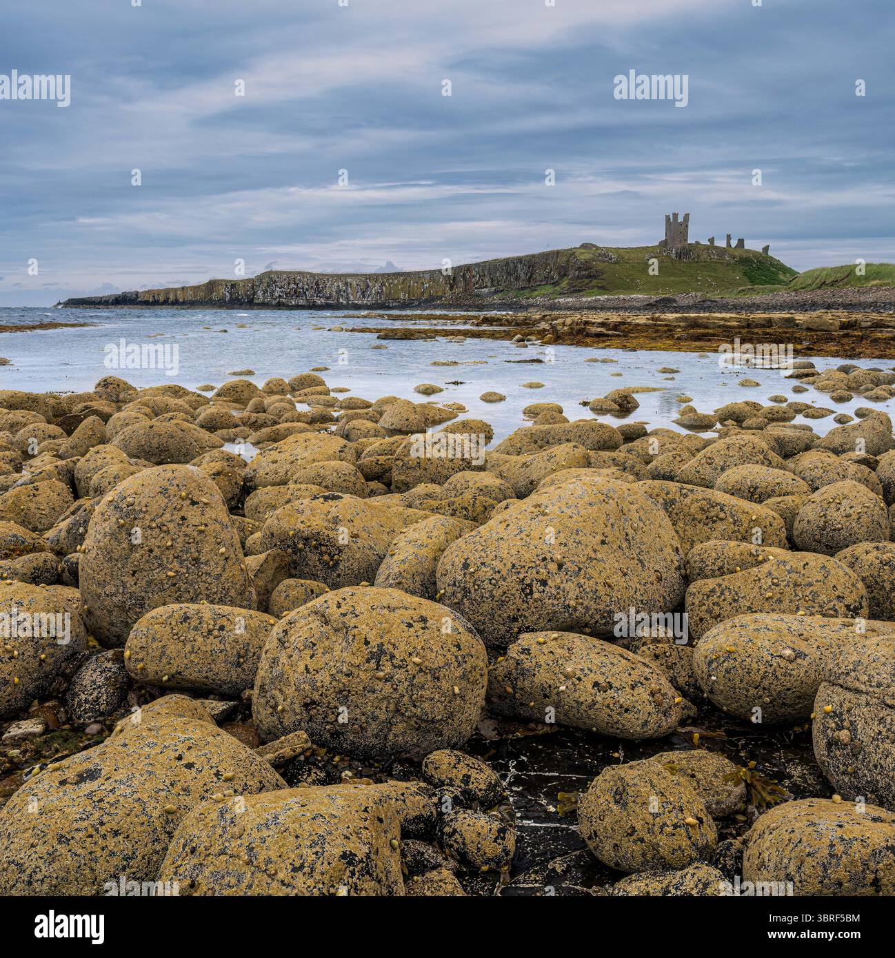 Il castello di Dunstanburgh Foto Stock