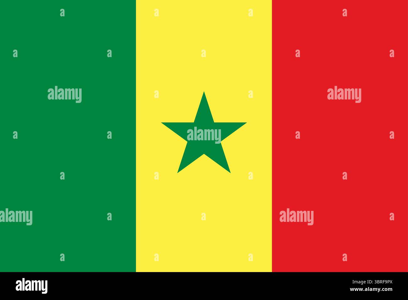Bandiera del Senegal – bandiera nazionale ufficiale con tricolore verticale verde-giallo-rosso e stella verde a cinque punte al centro, simbolo di unità e progre Illustrazione Vettoriale