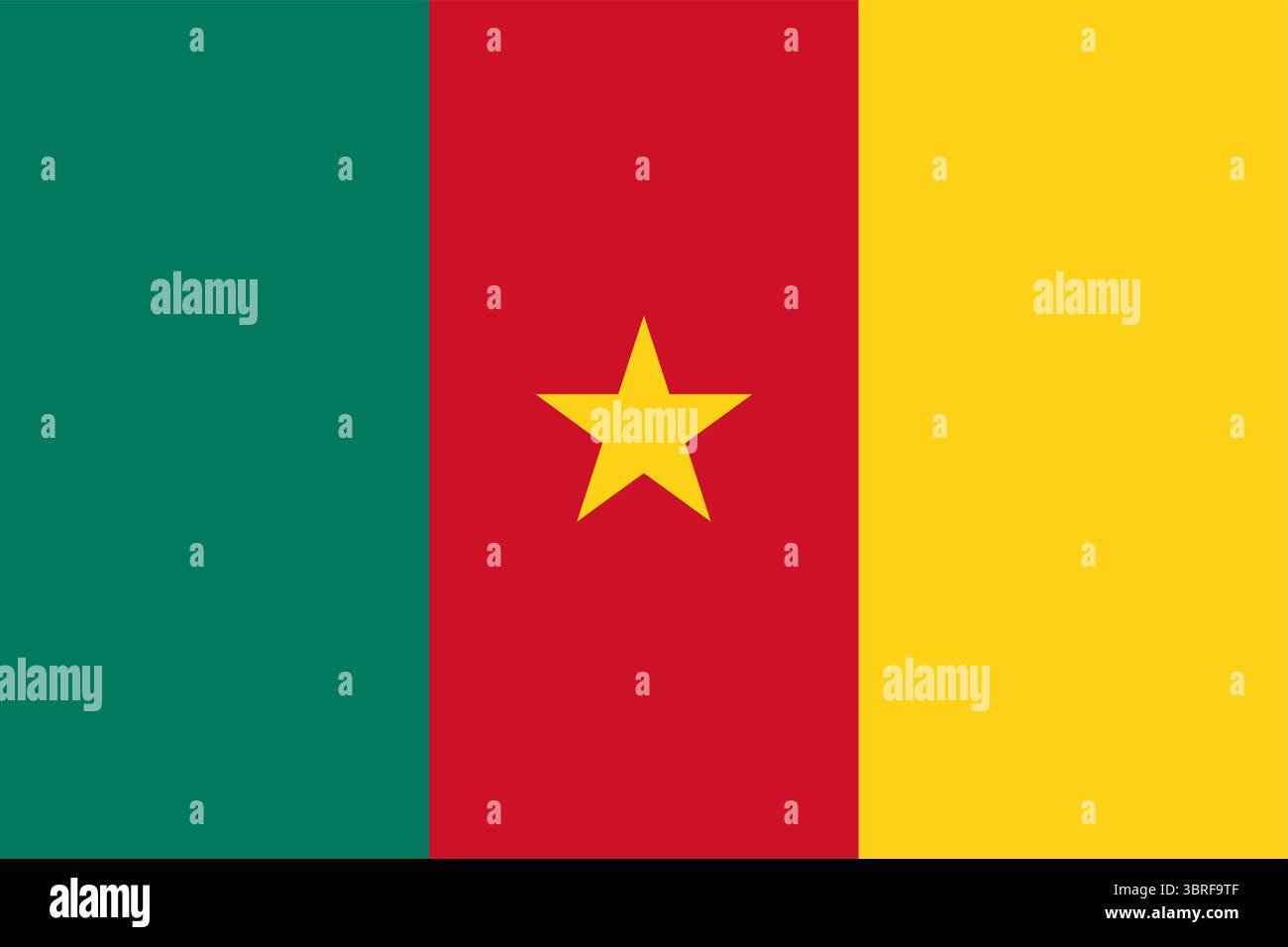 Bandiera del Camerun – tricolore verticale di verde, rosso e giallo con stella d'oro centrale, bandiera nazionale ufficiale del paese dell'Africa centrale, vettore Illustrazione Vettoriale