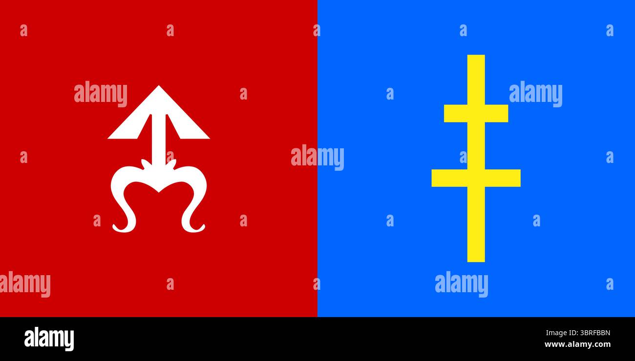 Bandiera del distretto di Skarzhi - bandiera regionale ufficiale adottata con emblema simbolico e colori, illustrazione vettoriale Illustrazione Vettoriale