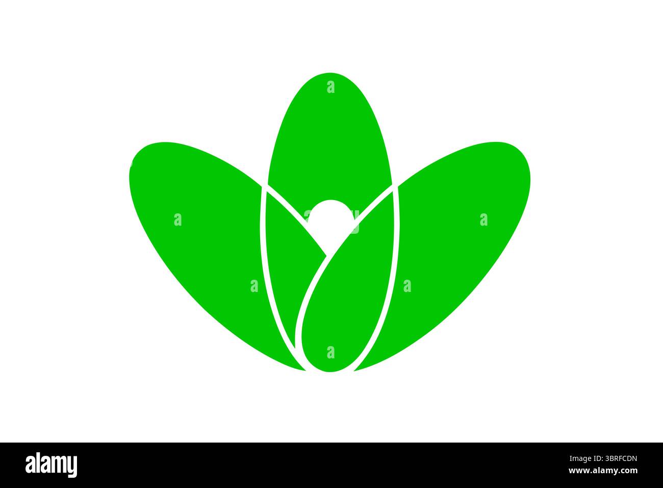 Bandiera di Miyama, Fukuoka, Giappone: Emblema municipale ufficiale su sfondo bianco, bandiera cittadina giapponese minimalista, illustrazione ad alta risoluzione Illustrazione Vettoriale