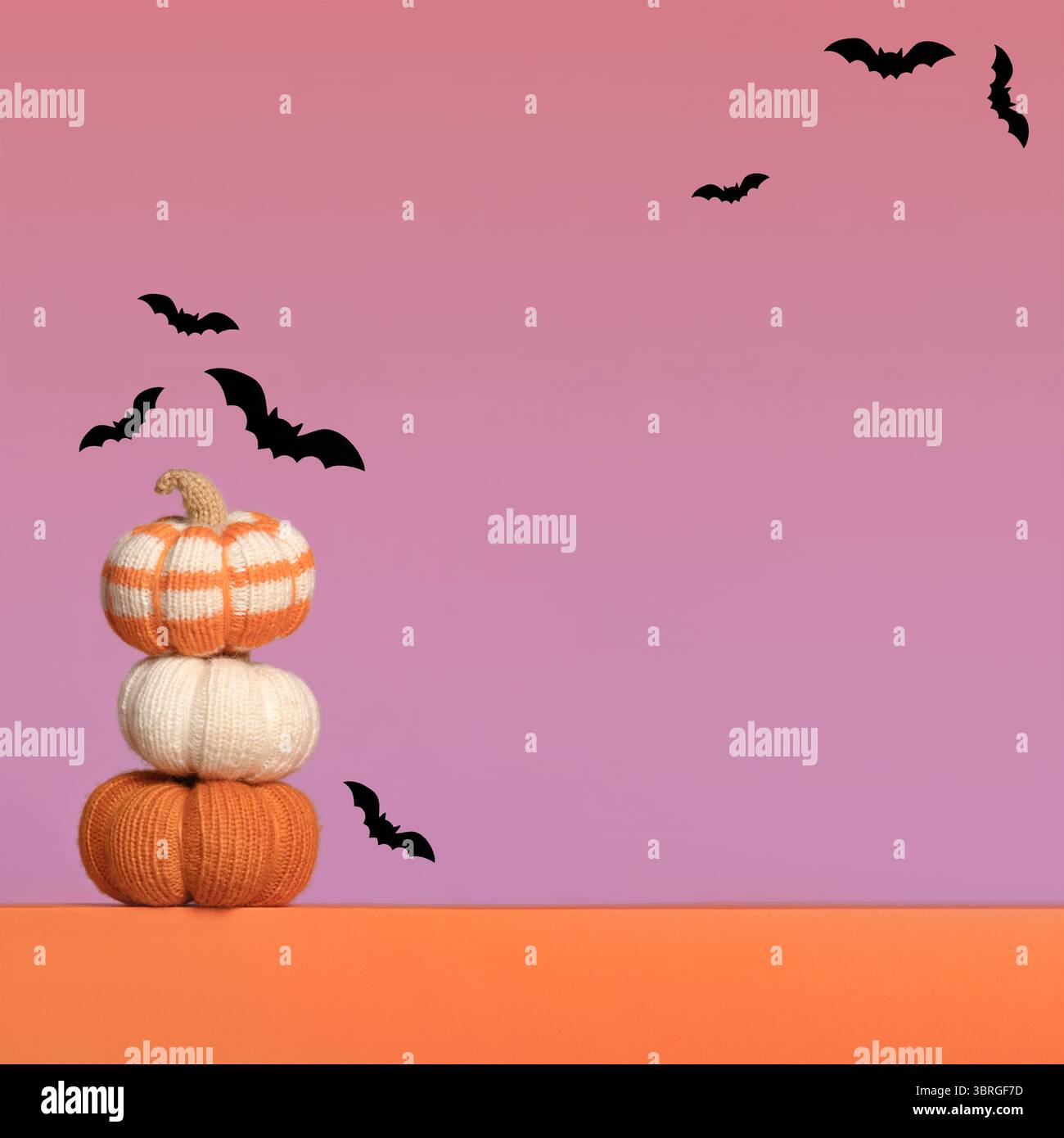 Zucche arancioni lavorate a maglia con pipistrelli neri su sfondo arancione viola sfumato, composizione autunnale, vista frontale. Concetto di Halloween. Foto Stock