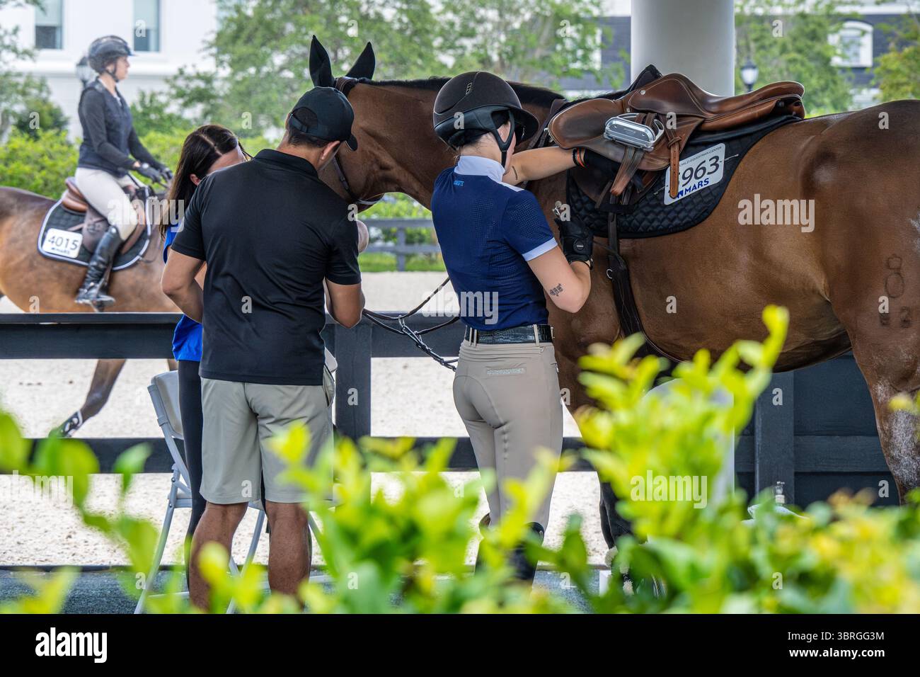 Arena all'aperto presso il World Equestrian Center, il più grande complesso equestre degli Stati Uniti, a Ocala, Florida. (USA) Foto Stock