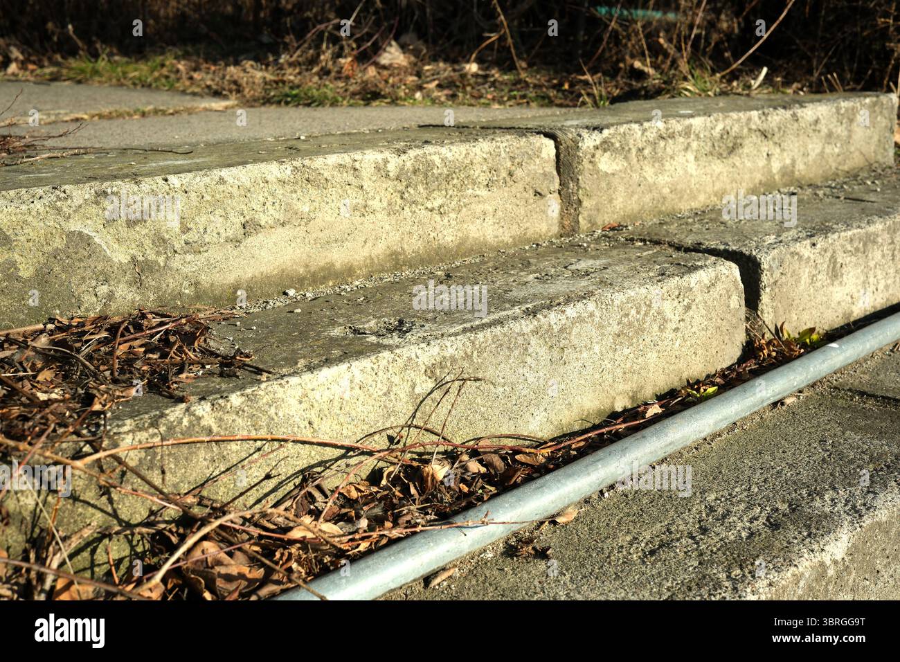 I gradini di cemento incrinati rivelano il tocco della natura con foglie sparse. Foto Stock