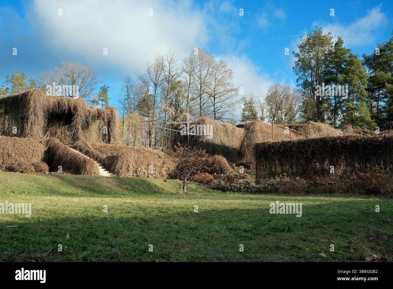 Forme architettoniche uniche ricoperte di viti creano uno scenario armonioso. Foto Stock