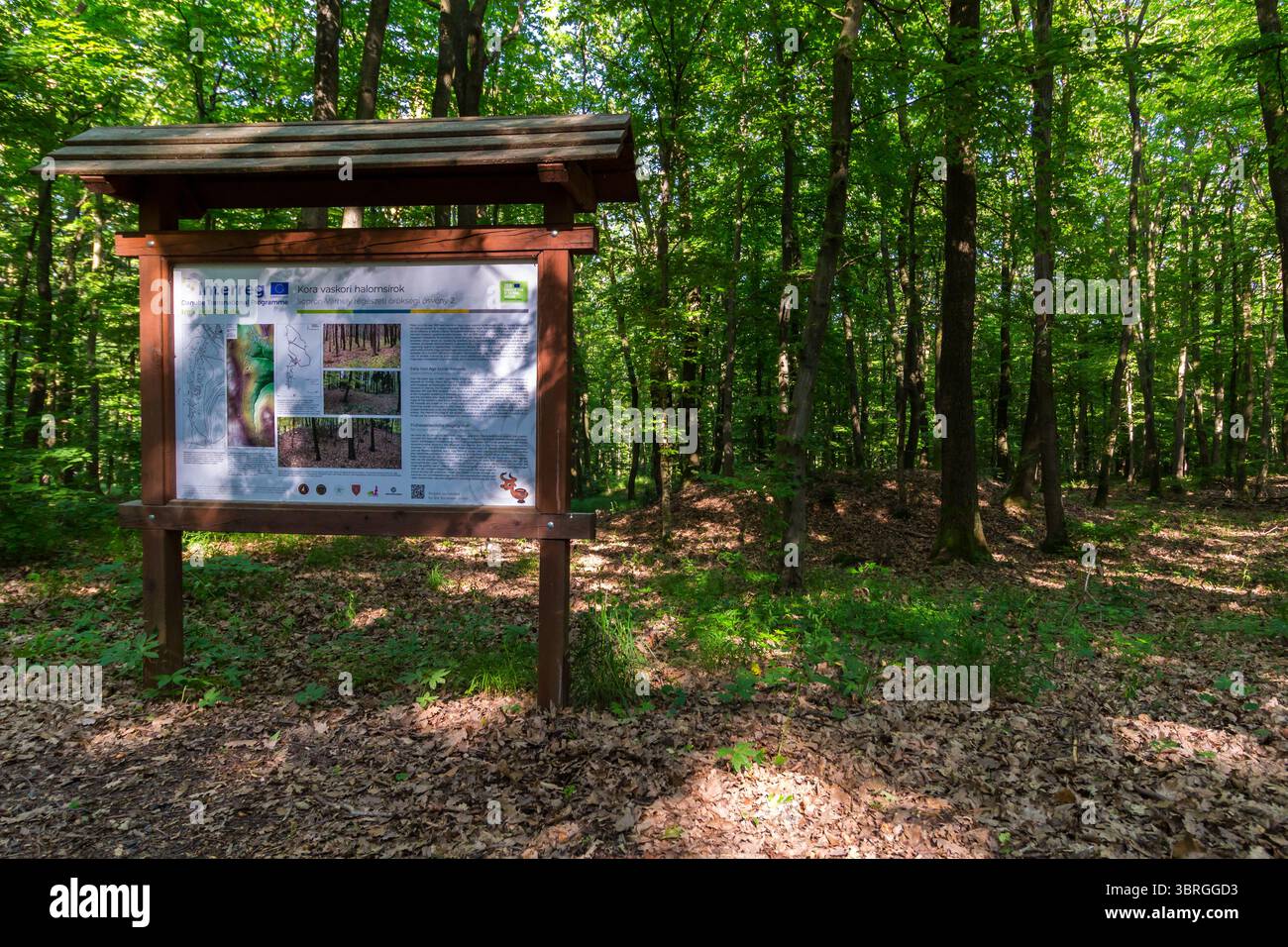 Cartello con le indicazioni sui tumuli sepolcrali della prima età del ferro sulla collina "Varhely", sui monti Sopron, Sopron, Ungheria Foto Stock