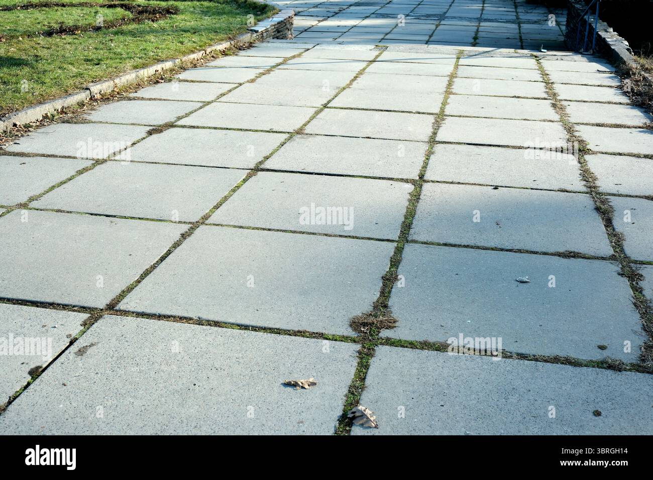 Passerella pavimentata circondata da erba invita a passeggiare piacevolmente sotto la luce del sole. Foto Stock