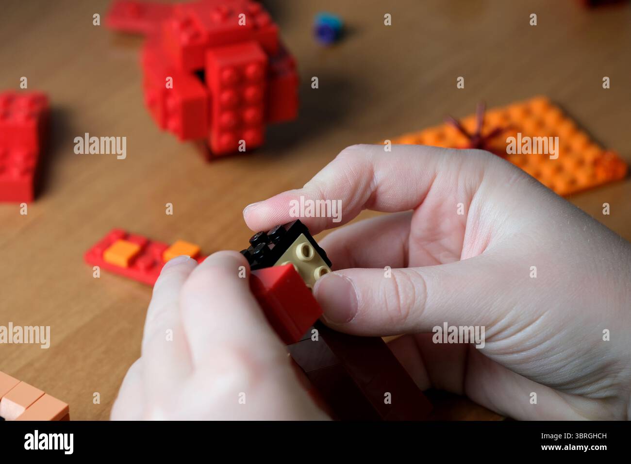 Le mani assemblano sapientemente vivaci mattoni su un tavolo di legno. Foto Stock