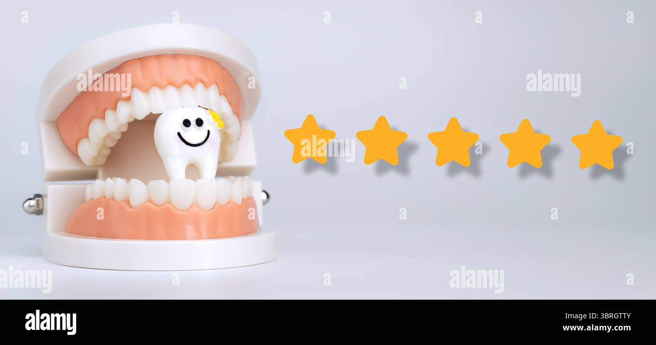 Modello dentale con carino carattere sorridente e cinque stelle gialle che simboleggiano un servizio eccellente, l'igiene o la cura odontoiatrica pediatrica. Foto Stock