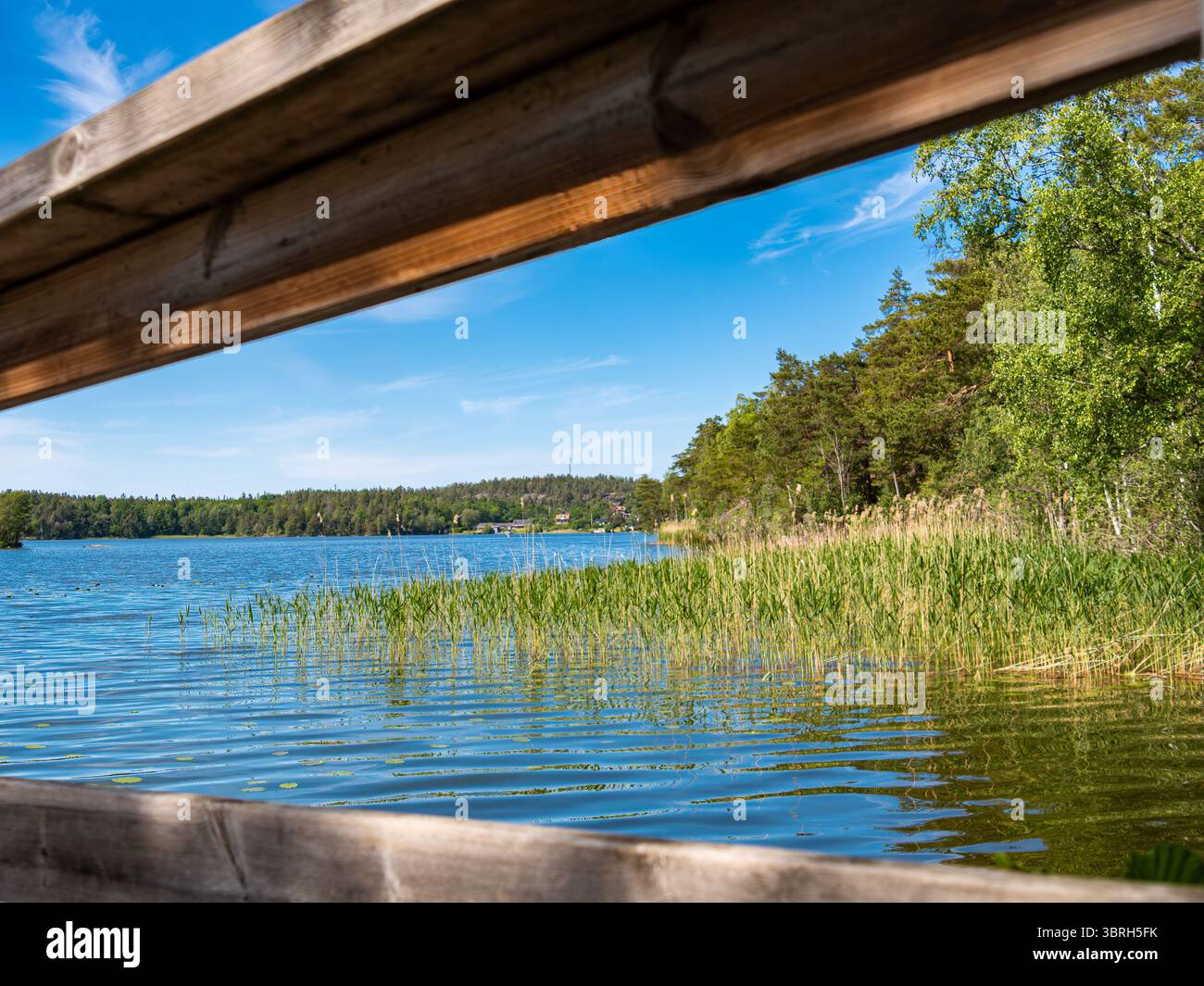 Una serena vista lago incorniciata da travi di legno, che sfoggiano lussureggiante vegetazione e acque calme sotto un cielo blu limpido. Foto Stock