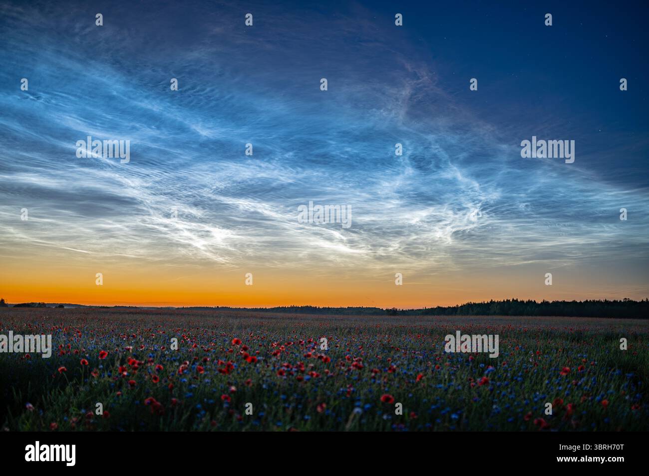 Fenomeno atmosferico di nuvole nocciolenti nuvole brillanti notturne NLC 20 Foto Stock