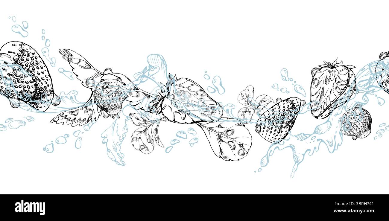 Fragola che vola in acqua spruzza con foglie, gocce di rugiada, fragola di bosco del giardino estivo maturo disegnata a mano con inchiostro vettoriale. Isolamento senza interruzioni Illustrazione Vettoriale