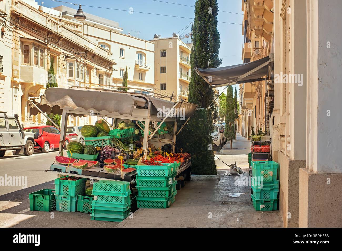 Vendita in strada di frutta e verdura fresca da parte di un agricoltore locale: Angurie, pesche, aglio, pomodori, cipolle in casse verdi sotto un baldacchino Foto Stock Vendita in strada di frutta e verdura fresca da parte di un agricoltore locale: Angurie, pesche, aglio, pomodori, cipolle in casse verdi sotto un baldacchino Foto Stock