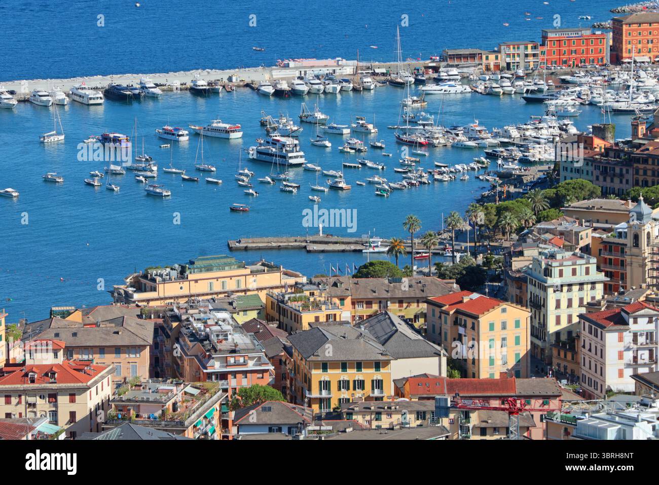 Camogli, Italia - 11 luglio 2025. Yacht, barche nella baia della Liguria. Mare e turismo in Italia. Edifici tradizionali. Sfondo per la progettazione. Foto Stock