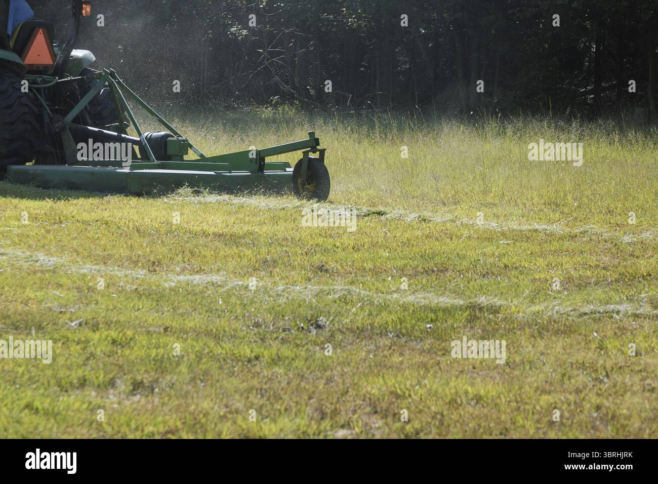 Taglio falciatrice di prato taglio erba giardinaggio Foto Stock