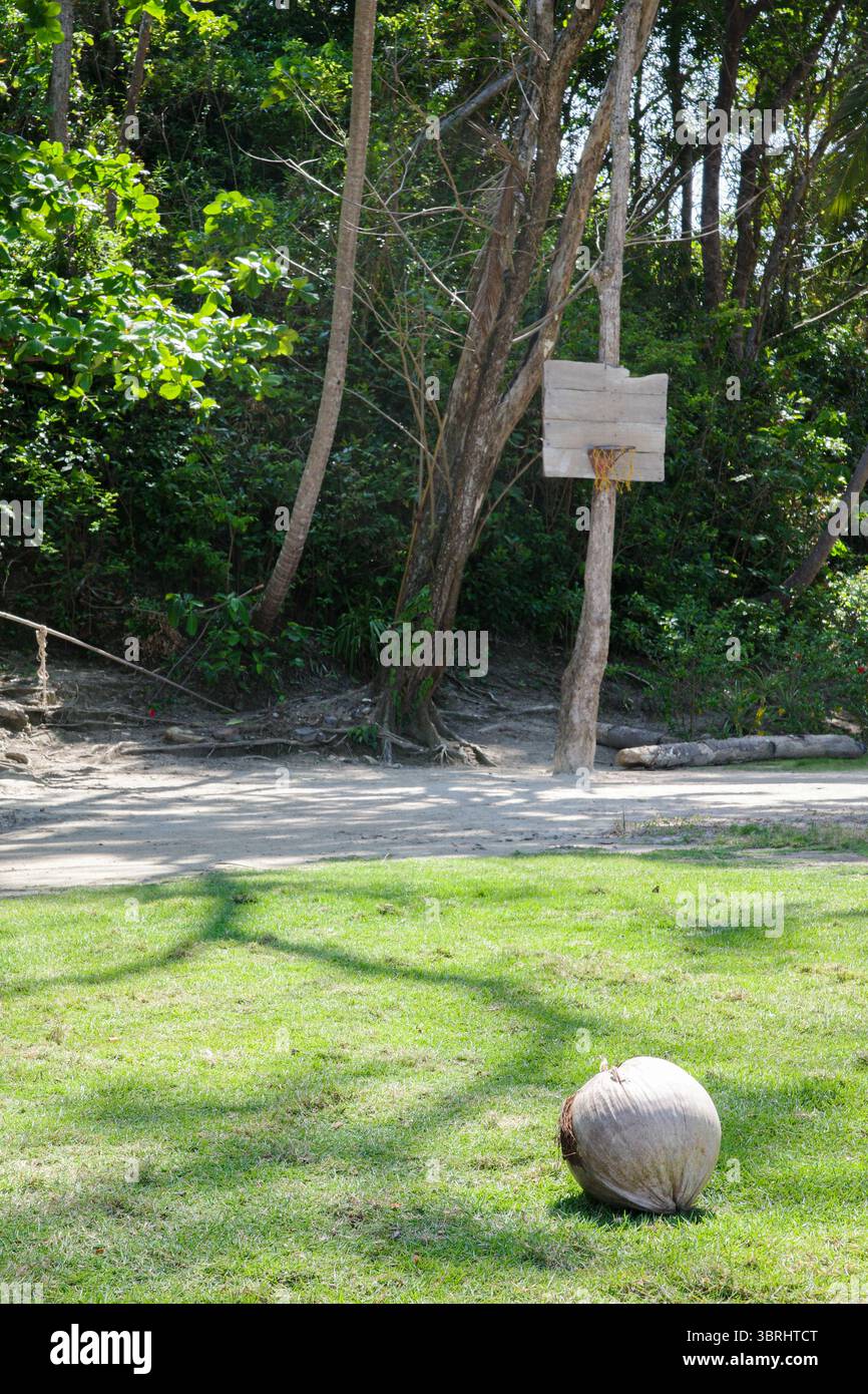 Una divertente e rustica scena all'aperto di un canestro da basket improvvisato realizzato in legno e montato su un albero, sullo sfondo di una foresta tropicale Foto Stock
