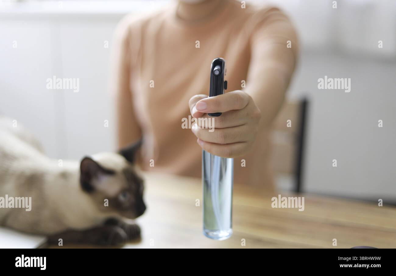 Donna spray alcool disinfettante antibatterico igienizzante. Spruzzare per prevenire il Coronavirus o Covid-19 Foto Stock