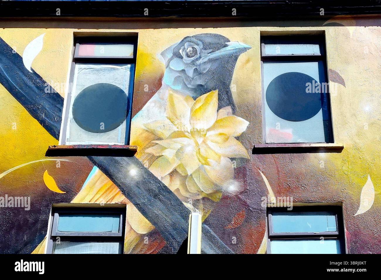 Il colorato murale presenta un uccello e petali di fiori gialli, creati durante il Waterford Walls International Festival a Waterford, Irlanda Foto Stock