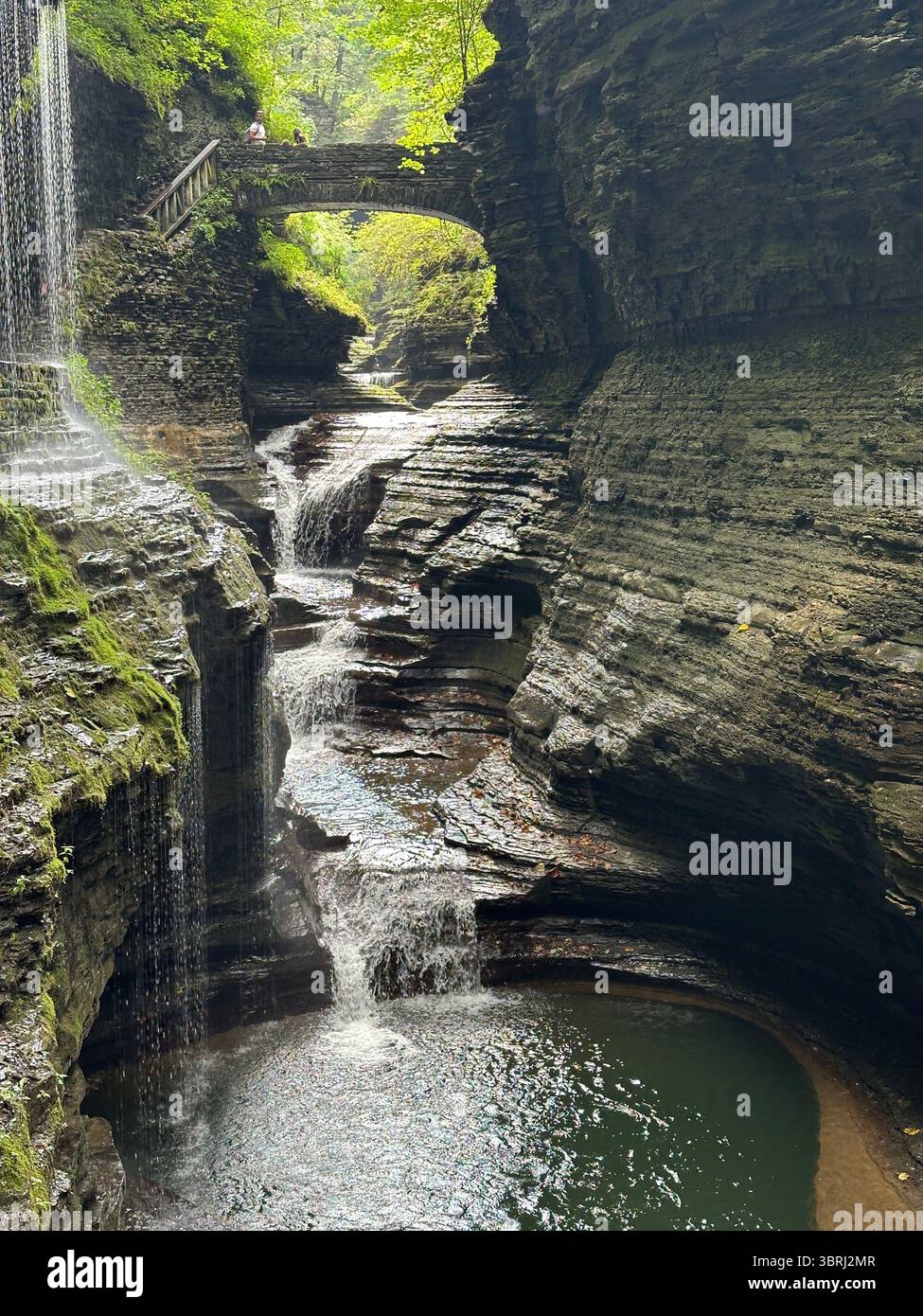 Perdersi nella natura - Immagine stock catturata con smartphone