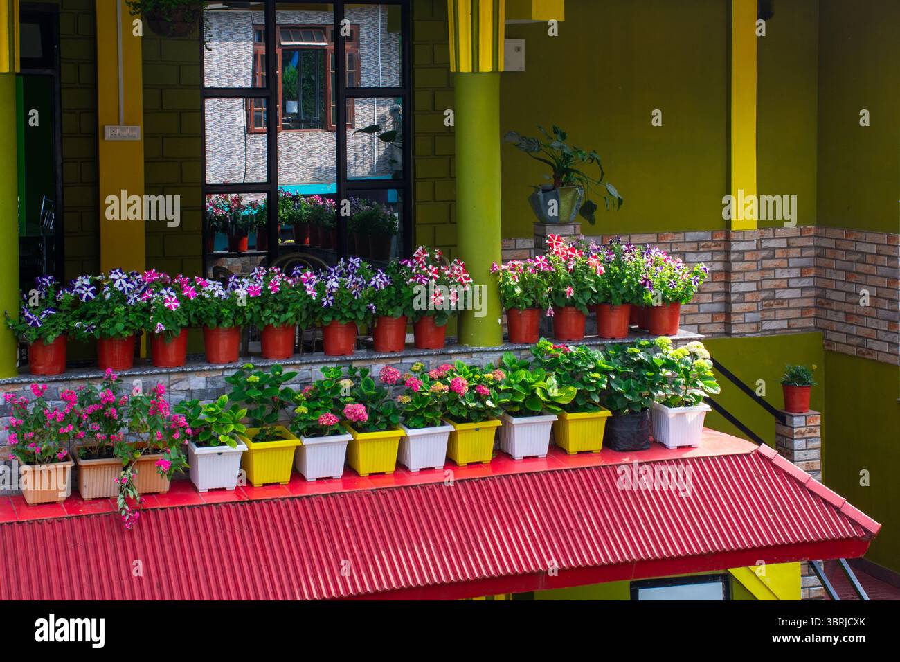 Fiori colorati in vaso e lussureggianti piante verdi adornano un balcone di un edificio vivace. Una disposizione serena, raffigurante simmetria e bellezza rilassante. Foto Stock